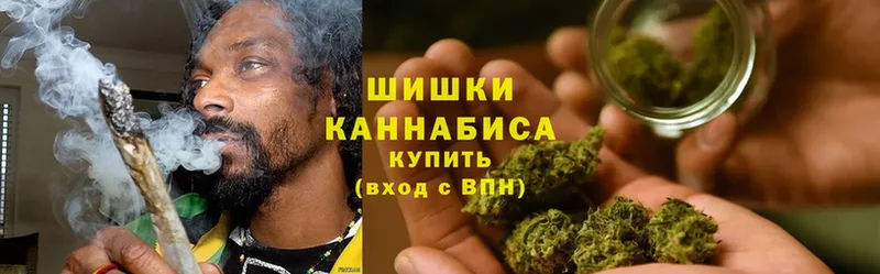 где найти наркотики  мега сайт  Бошки Шишки Ganja  Железногорск-Илимский 